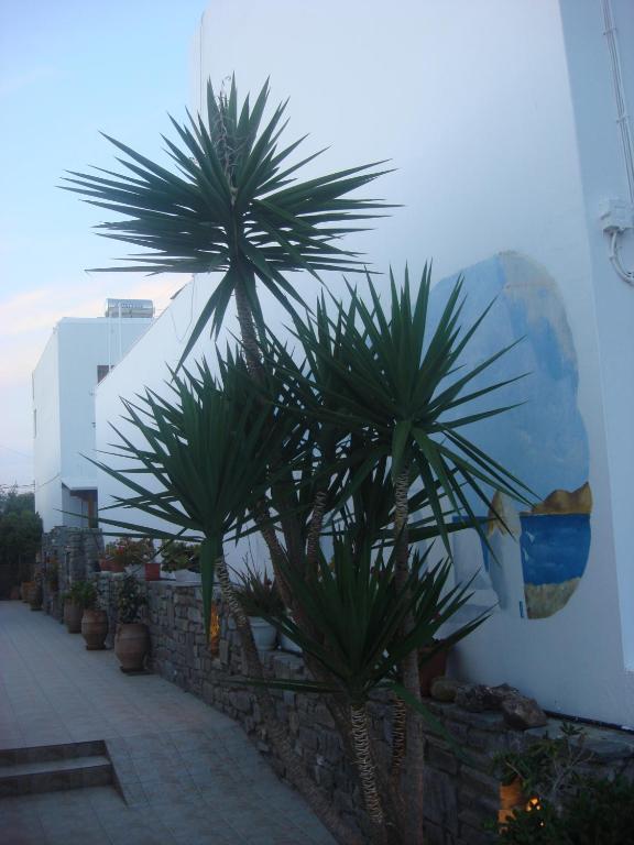 Joseph Apartments Páros 外观 照片