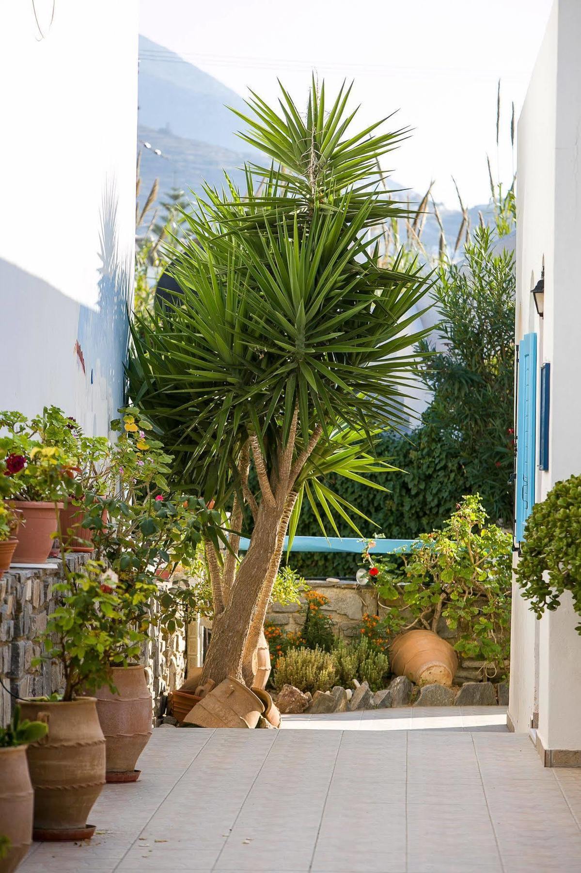 Joseph Apartments Páros 外观 照片